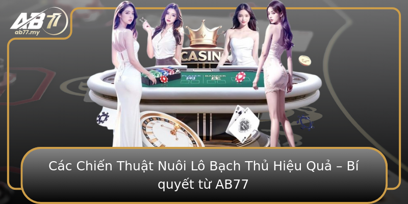 Các Chiến Thuật Nuôi Lô Bạch Thủ Hiệu Quả – Bí quyết từ AB77 Các Chiến Thuật Nuôi Lô Bạch Thủ Hiệu Quả – Bí quyết từ AB77